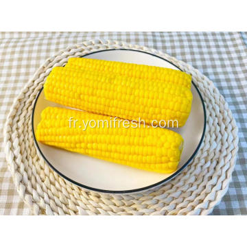 Corn rapide sur le COB